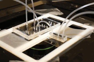 Gold Sheet Nanophotonics