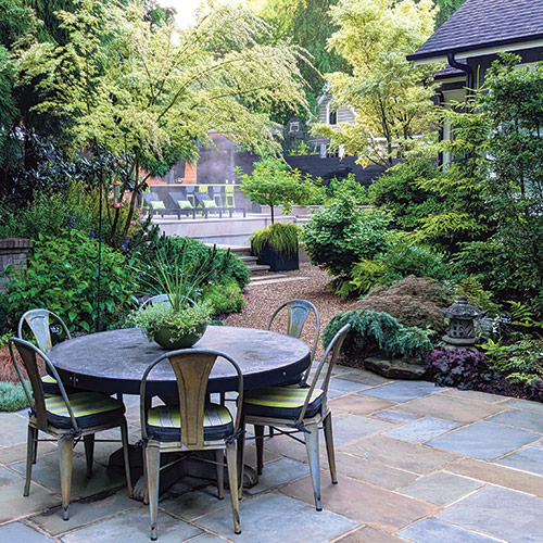 patio in dog friendly garden