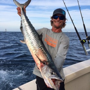 king mackerel