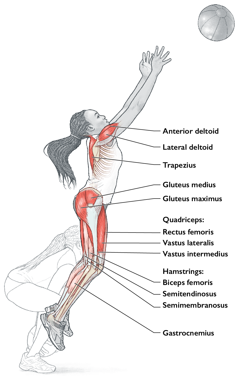 Underhand vertical squat throw