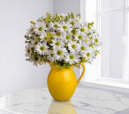 Sunlit Daisy Pitcher Bouquet