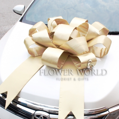 Car Ribbons | Big Ribbons | Display Cars | Ribbons for Cars | Showroom ...