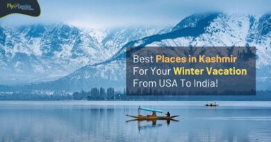 Best Places in Kashmir For Your Winter Vacation From USA To India! Flyopedia com (1)