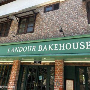 Landour Bakehouse: Why This Café Is a Must-Visit in Mussoorie