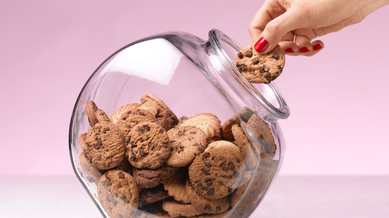 A hand with red-painted nails takes a cookie out of a glass bowl of chocolate chip cookies against a pink background