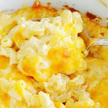 a spoonful of homemade macaroni and cheese ready to be plated