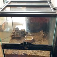 scorpion tank for sale