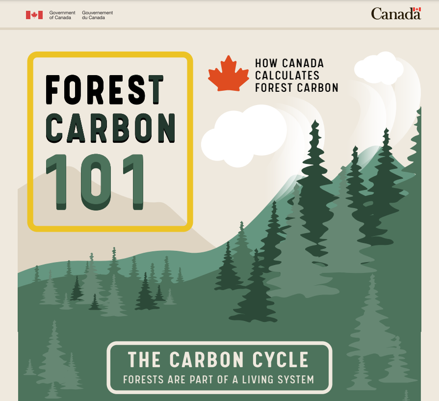 ABC's forest carbon