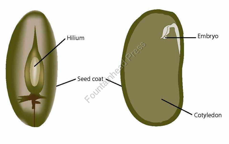 biology