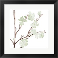 Framed Mint Bloom Stems