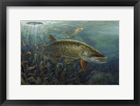 Framed Ice Pike