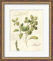 Framed Aromatique III