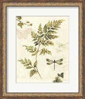 Framed Ivies and Ferns III