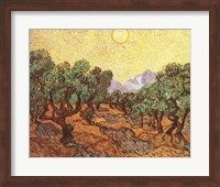 Framed Olive Trees, c.1889