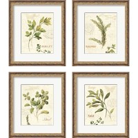 Framed 'Aromatique 4 Piece Framed Art Print Set' border=