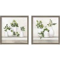 Framed 'Plant Life 2 Piece Framed Art Print Set' border=