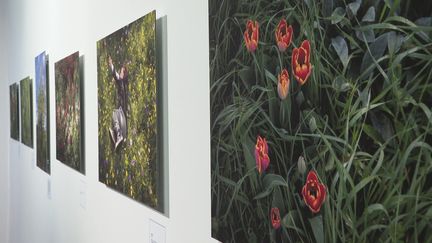 L'exposition "Ce que le parfum doit à la terre" est à voir jusqu'au 10 mars 2024 au Musée international de la parfumerie de Grasse. (France 3 Côte d'Azur : M. Roubaud-Soutrelle / B. Loth / T. Maggio)