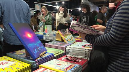 Le festival de bande dessinée de Colomiers près de Toulouse se tient jusqu'au dimanche 19 novembre. (France 3 Midi-Pyrénées : J. Meurin / E. Foissac / X. Cabanel)