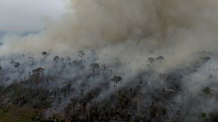 Des incendies dans la forêt amazonienne, au Brésil, le 4 septembre 2024. (MICHAEL DANTAS / AFP)