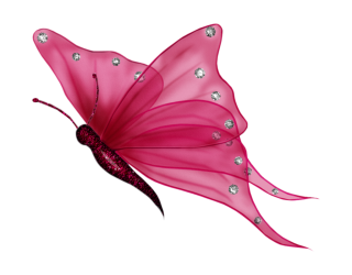 Butterfly PNG, Butterfly Transparent Background - FreeIconsPNG