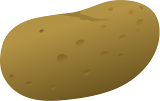 Potato Png Clipart PNG images