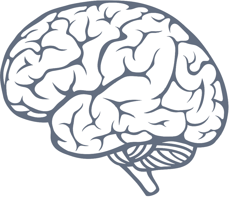 Brain Icon Png