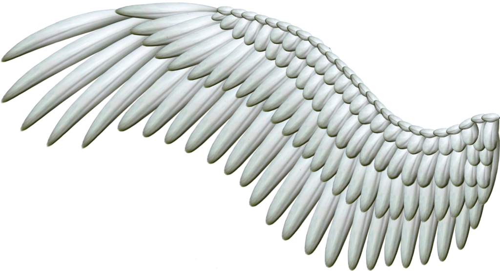 White Angel Wings PNG Transparent Background, Free Download #36438 -  FreeIconsPNG