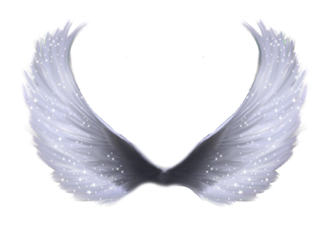 Wings Hd PNG Transparent Background, Free Download #36443 - FreeIconsPNG