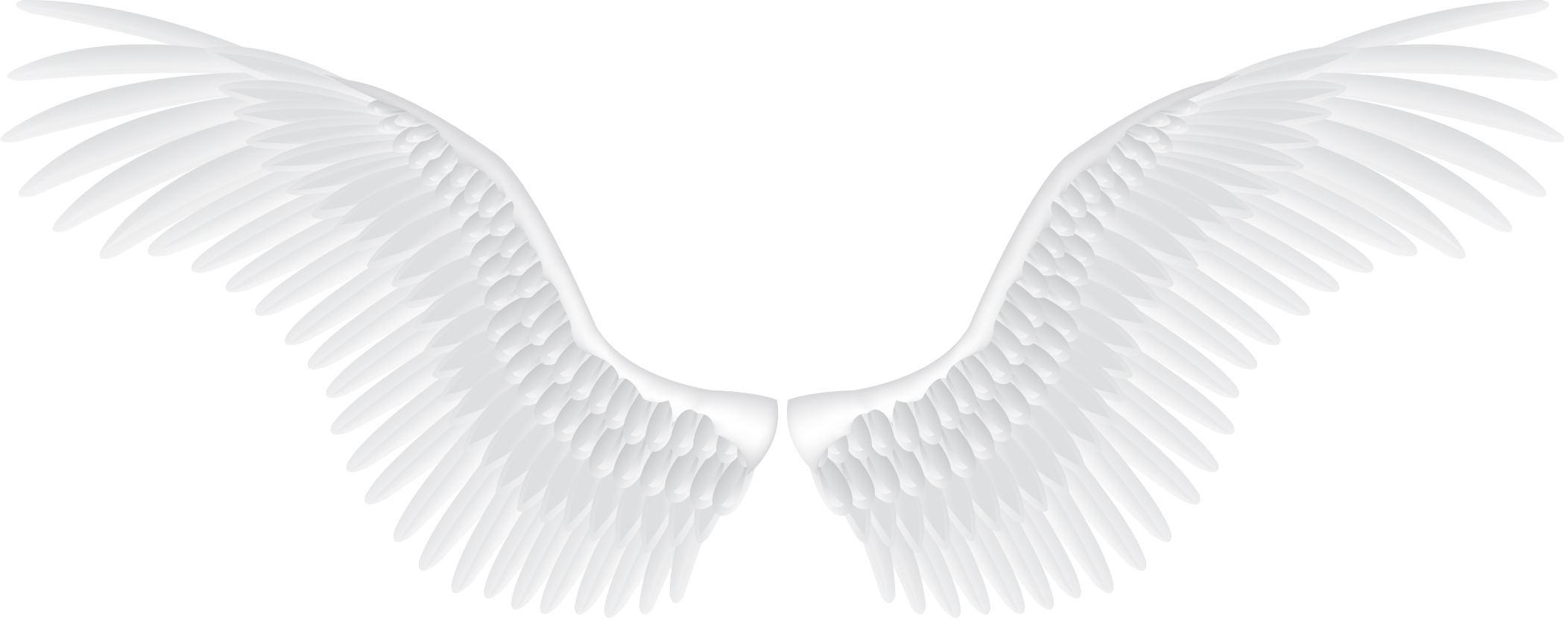 Background Hd Wings PNG Transparent Background, Free Download #36461 -  FreeIconsPNG