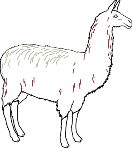 Llama 7 Image Clipart Clipart