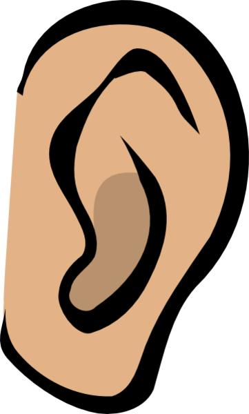 ear body part nicu buc images clkerm vector clip art online royalty #29769