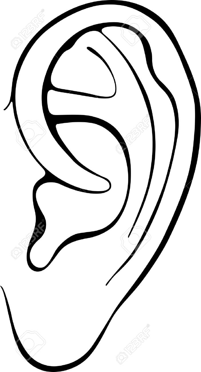 ear clipart clipart panda clipart images #32118