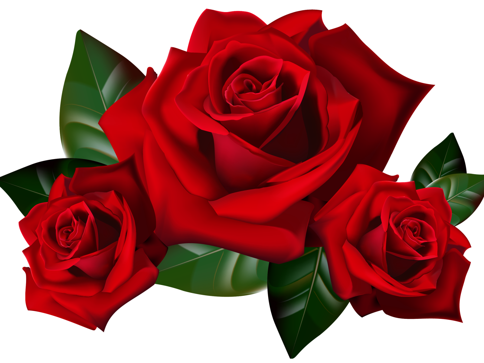 Rose Clip Art Png