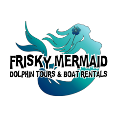 Frisky Mermaid Dolphin Cruises & Pontoon Boat Rentals