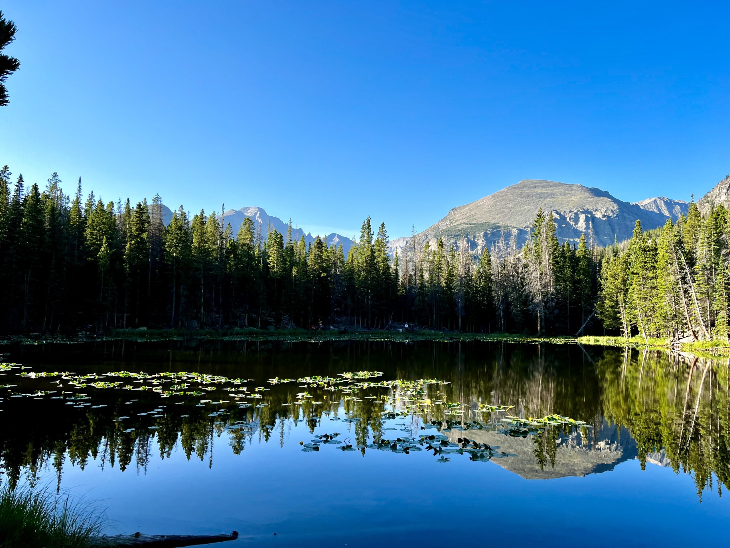 Lake in RMNP