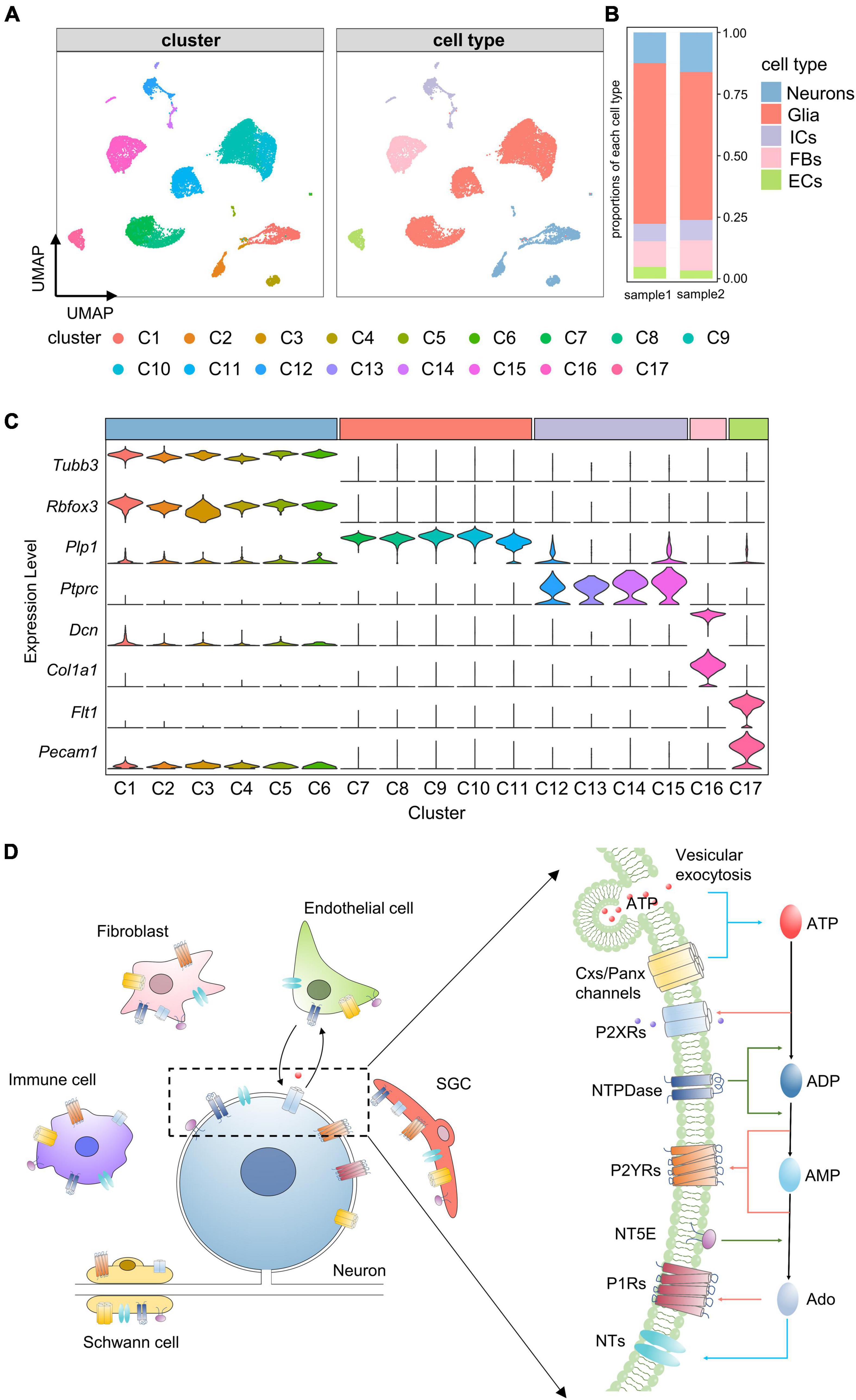 Frontiers Single-cell RNA Sequencing Reveals Distinct, 48% OFF