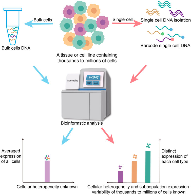 Frontiers | Single-cell omics: A new direction for functional genetic ...