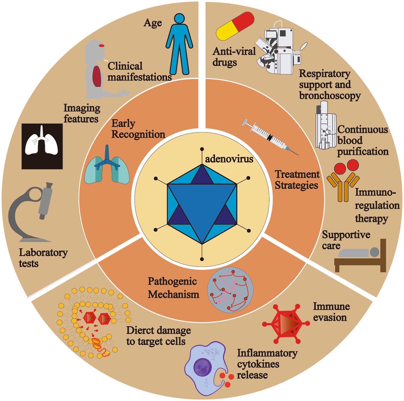 Frontiers | Pediatric adenovirus pneumonia: clinical practice and ...