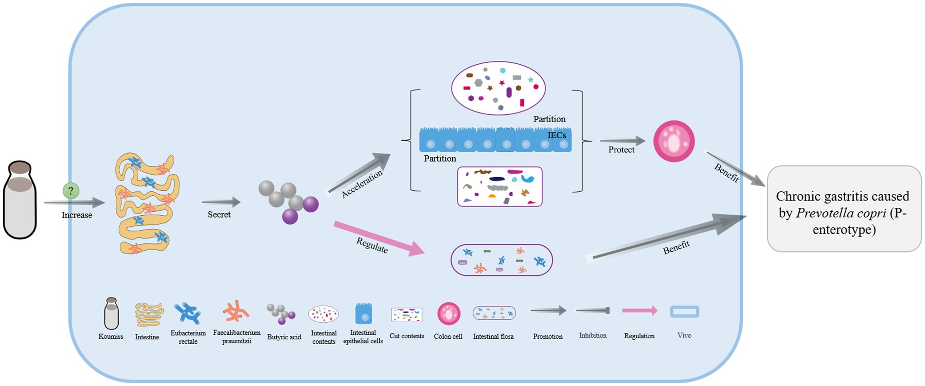 Frontiers | Nutritional ingredients and prevention of chronic diseases ...