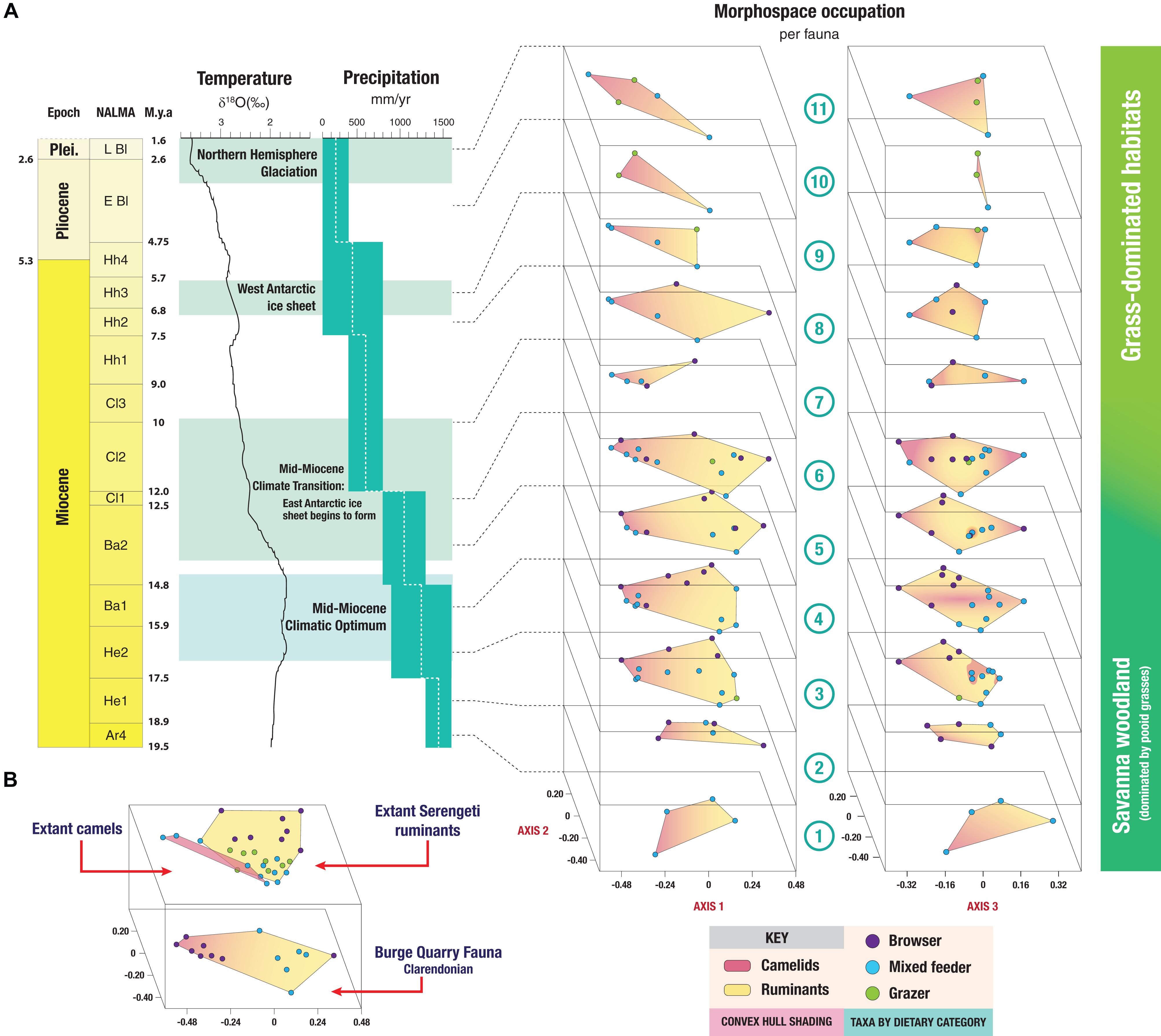 Frontiers | The Neogene Savannas of North America: A Retrospective ...