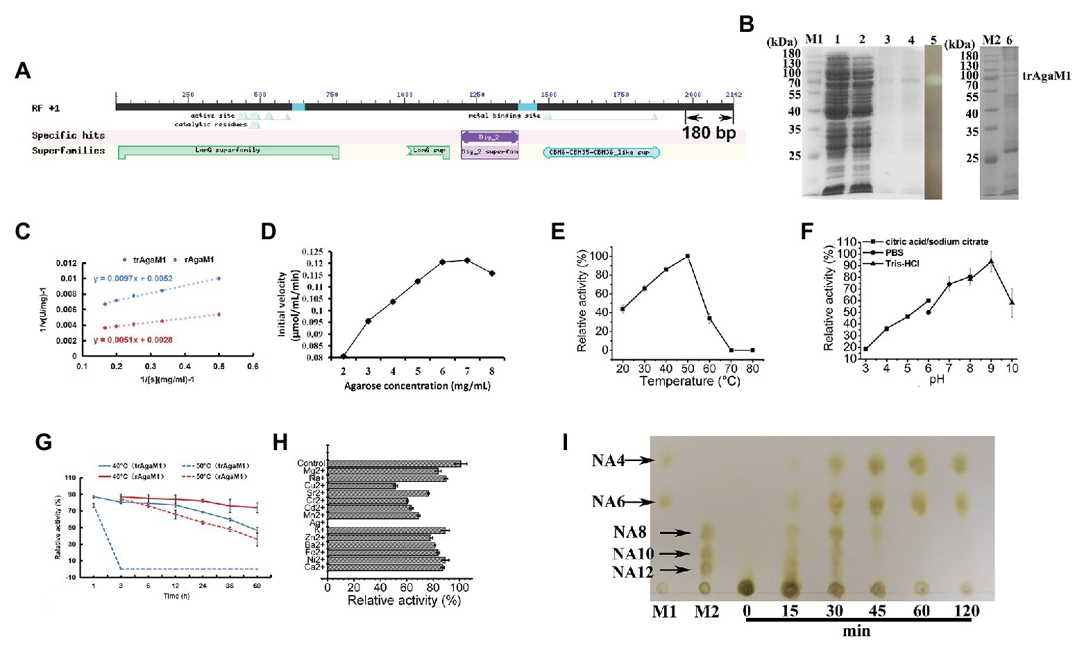 Frontiers | Production of Neoagaro-Oligosaccharides With Various ...