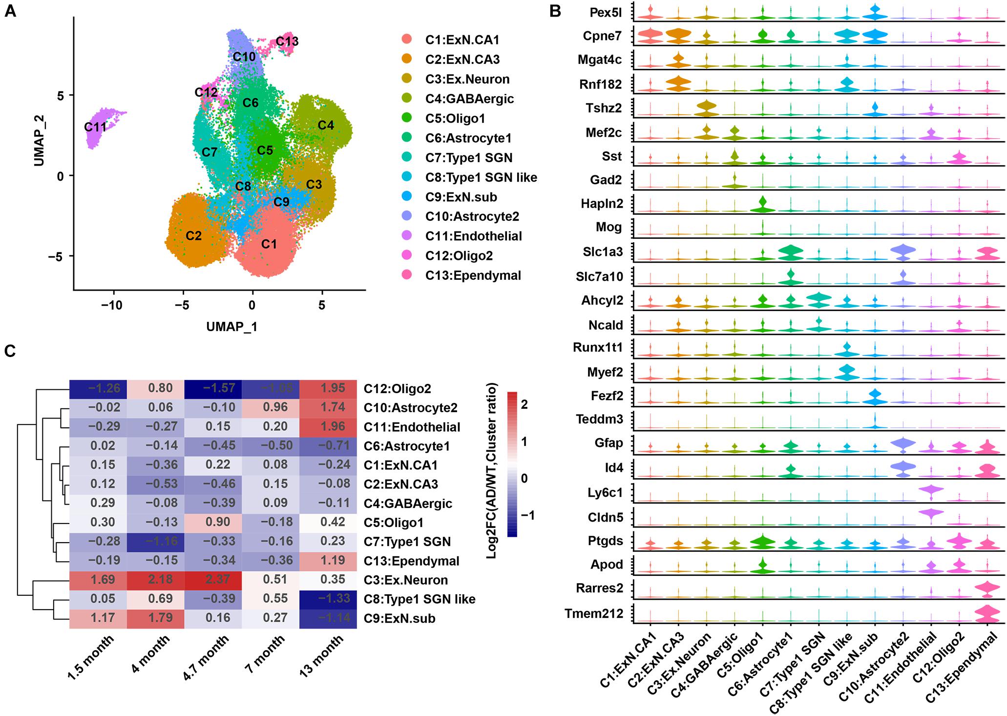 Developmental Single-cell Transcriptomics Of Hypothalamic, 42% OFF