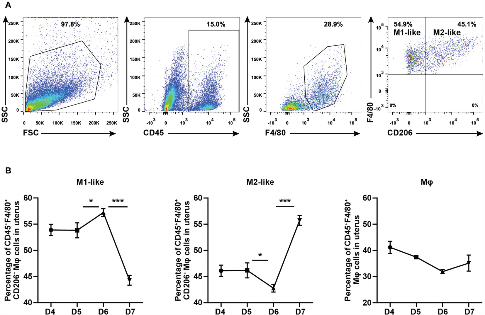 Frontiers | Cytochrome P450 26A1 Modulates the Polarization of Uterine ...