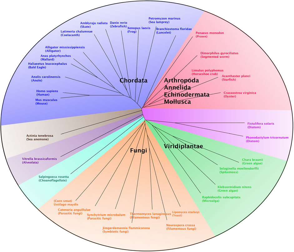 Frontiers | Identification and Characterization of Thermostable Y ...