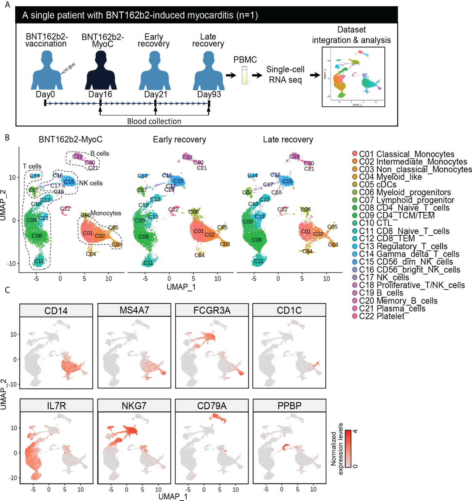 Frontiers | Single-cell sequencing of PBMC characterizes the altered ...