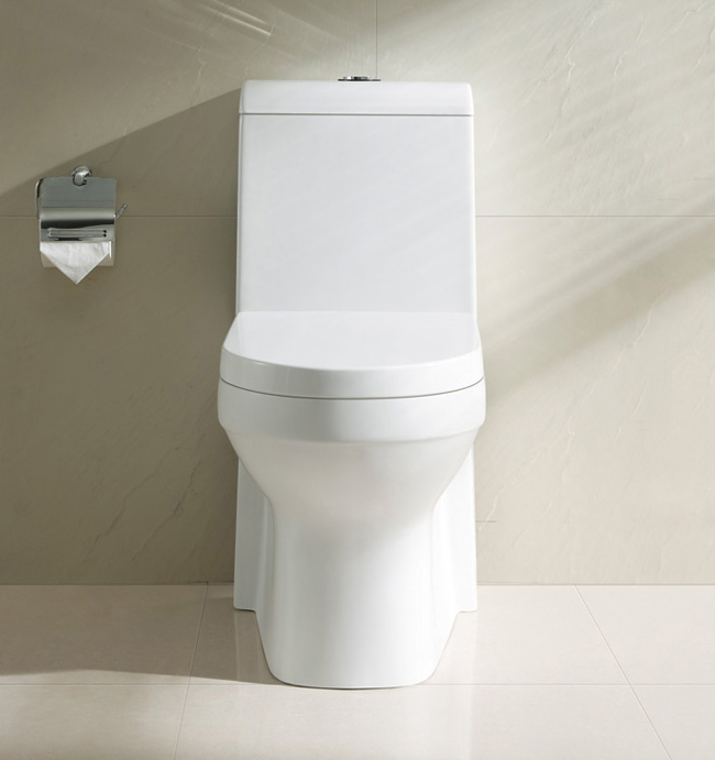 elongated-one-piece-bathroom-toilet