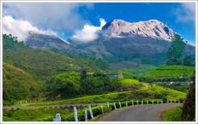 elephant-rides-in-munnar