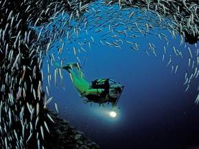 Scuba Diving in mexico