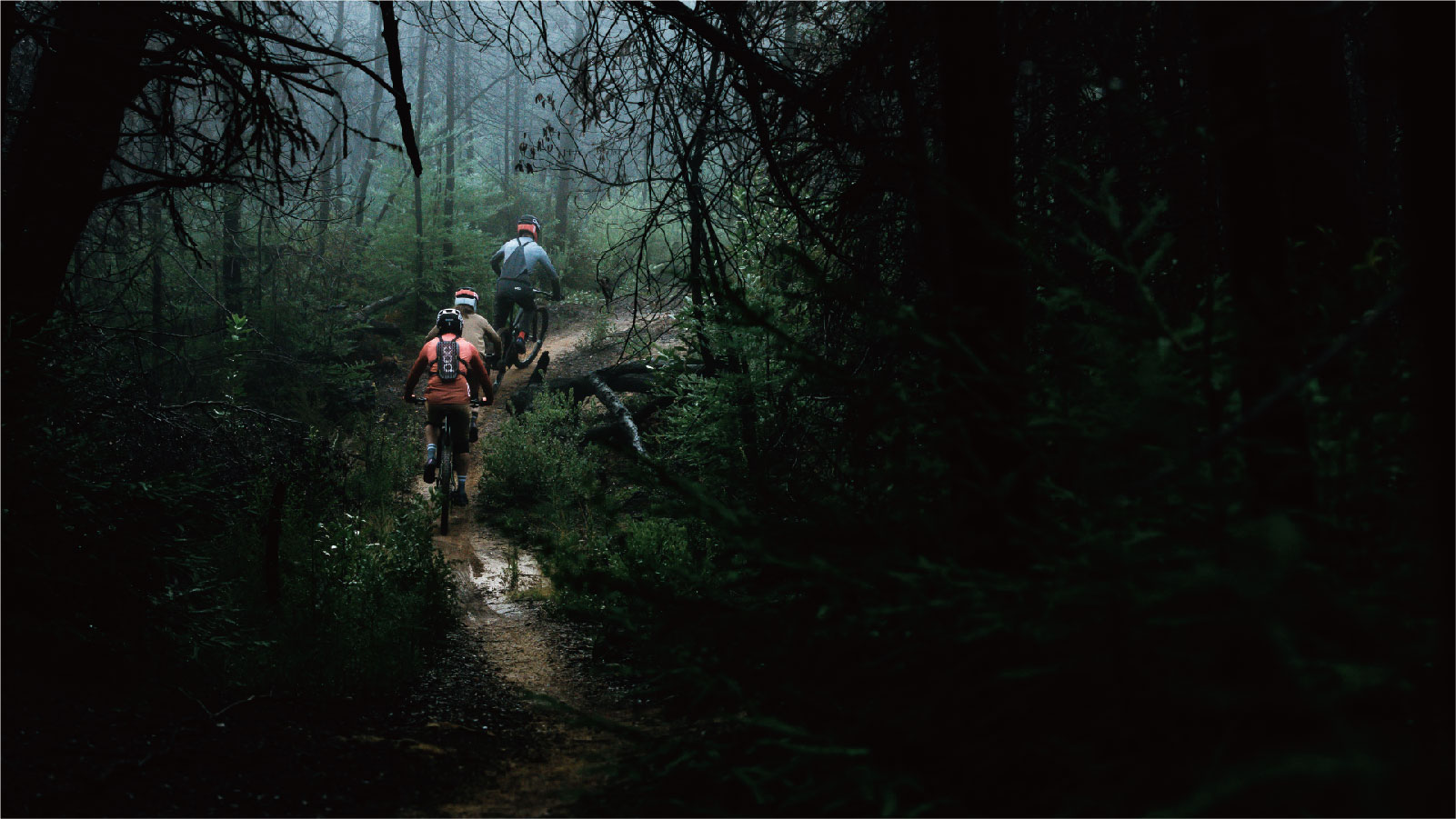 MOUNTAIN BIKING