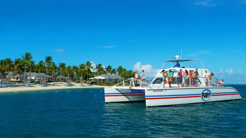 reef express catamaran on the water with the island and beach in the background